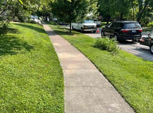 Dean J.'s lawn care service result