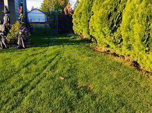 Nancy P.'s lawn service service result