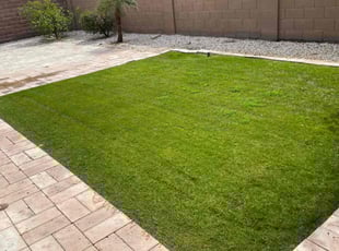 Karolina L.'s lawn service service result