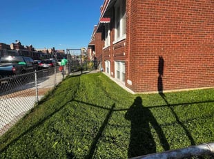 Jerry C.'s turf care service result