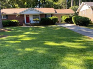 Krista S.'s turf care service result