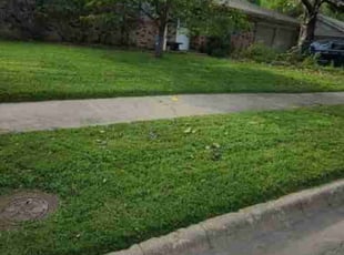Jan E.'s lawn care service result