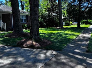 Serena S.'s lawn care services service result