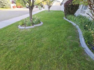 Susan M.'s lawn care services service result