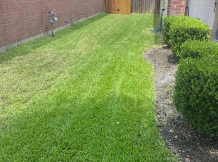 Shawana F.'s yard maintenance service result