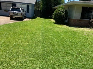 Darrell C.'s lawn maintenance service result