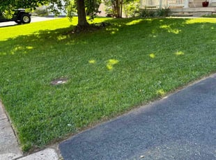 Therese N.'s grass maintenance service result