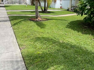 Julio B.'s lawn care services service result