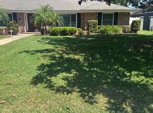 Natsnet T.'s lawn service service result