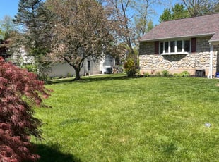 Vicky D.'s lawn care service result