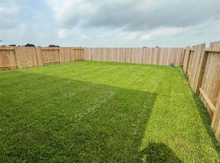 Matthew C.'s lawn care services service result