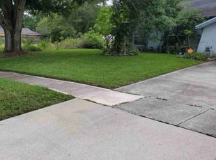 Gretchen G.'s turf care service result