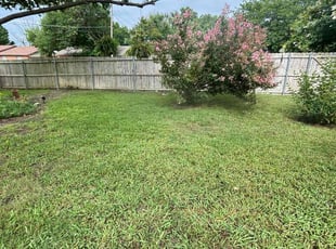 Dwight B.'s lawn service service result