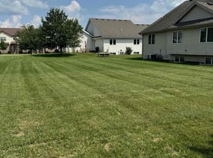 Donna L.'s lawn care services service result