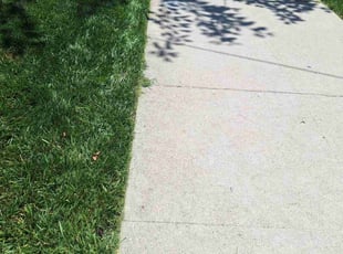 John A.'s lawn care services service result