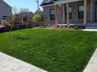 Robert L.'s grass cutting service result