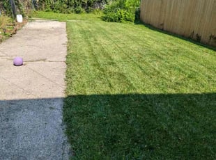 Rajeswari P.'s turf care service result