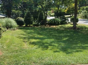 Greg B.'s turf maintenance service result