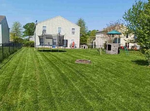 Mark L.'s lawn maintenance service result