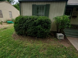 Elmer A.'s Bush Trimming service result