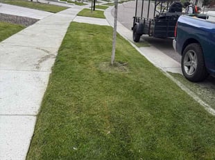 Susan K.'s lawn care services service result
