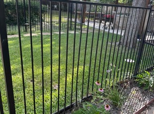 Andrew R.'s turf care service result