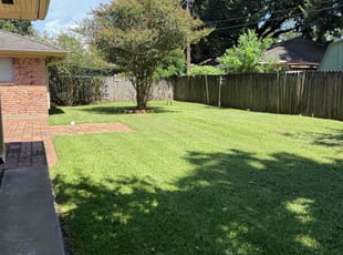 Mark F.'s lawn service service result