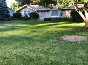 Lisa H.'s turf maintenance service result