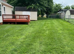 Margot W.'s grass cutting service result