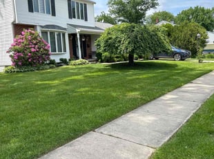 Gary Y.'s lawn maintenance service result