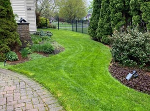 Jim K.'s grass cutting service result
