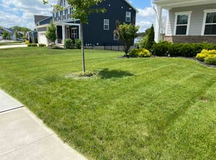 Susan A.'s lawn care service result