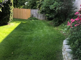 Stuart R.'s grass cutting service result