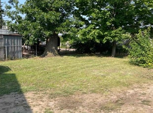 Emily H.'s lawn care service result