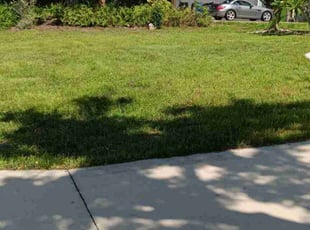 Rosslyn W.'s lawn care service result