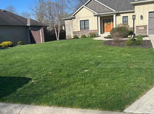 Ernie H.'s lawn maintenance service result