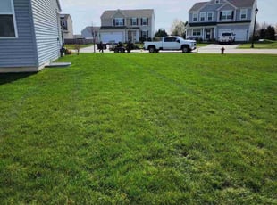 Chris Q.'s lawn care service result