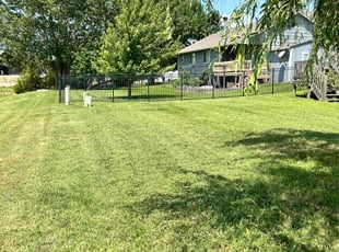 Angela D.'s yard service service result