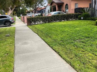 Yonghao M.'s yard service service result