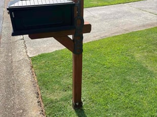 Vicky B.'s grass maintenance service result