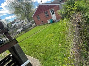 Rodney R.'s turf care service result