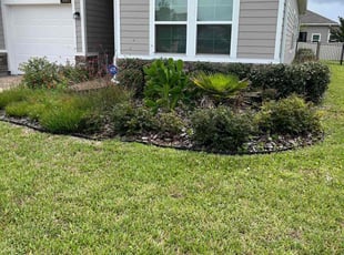 Ana C.'s Bush Trimming service result