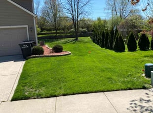 Lisa W.'s turf care service result