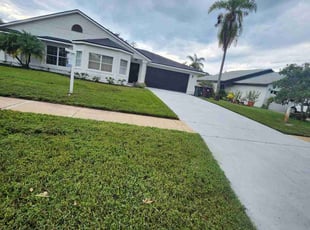 Andres A.'s lawn care service result