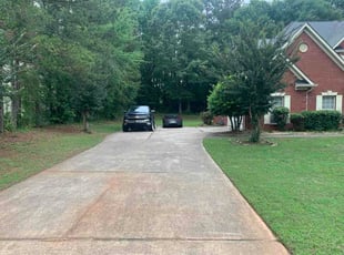 Darian H.'s lawn maintenance service result