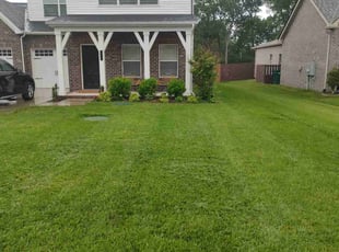 Sergia C.'s grass cutting service result