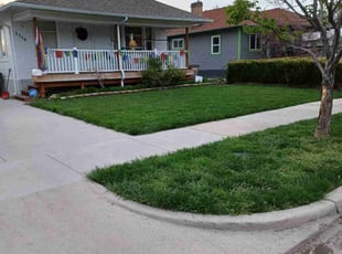 Jeana G.'s lawn maintenance service result