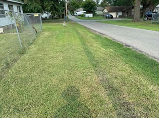 Bernard C.'s grass cutting service result