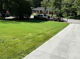 Laquata K.'s grass cutting service result