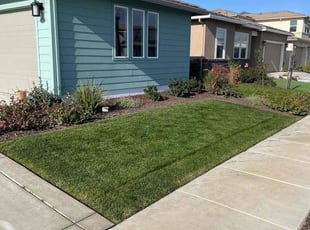 Michelle C.'s turf maintenance service result